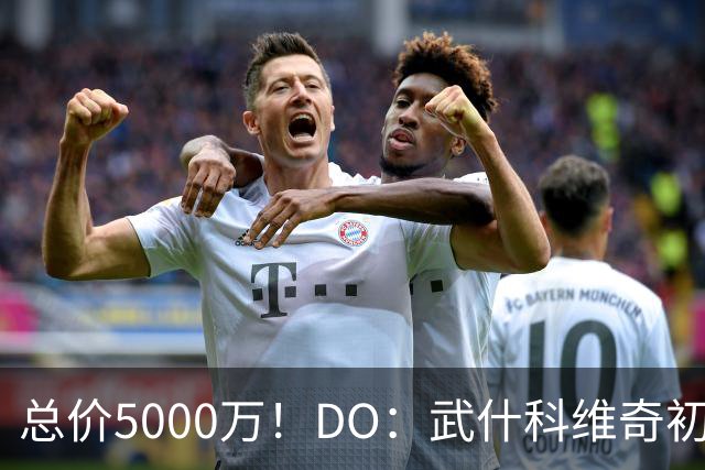 总价5000万！DO：武什科维奇初始转会费4600万镑，热刺有二转分成