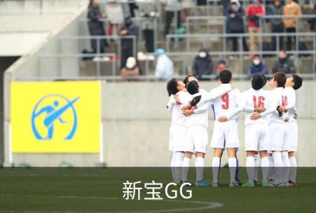 新宝GG概况